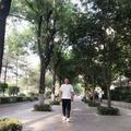 漂洋过海来看你