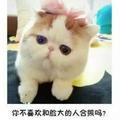白羊座