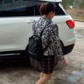 卖李子苗的丰三姐