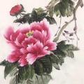 A一对ᓔ字母🔴