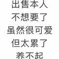 李慧如（三角洲行动-跑刀）