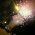 Lindy_243205037