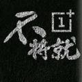 不将就
