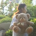 ACE  木子响