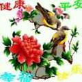 淄博金刚