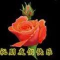 今生今世3997