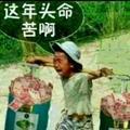 奋斗
