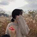 Ao莉Ao
