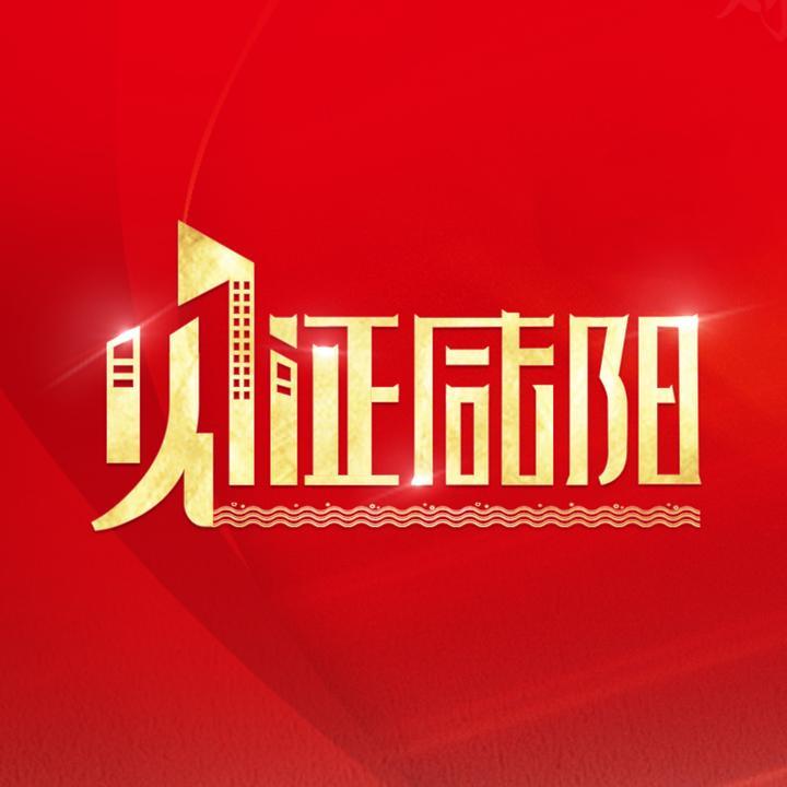 见证咸阳