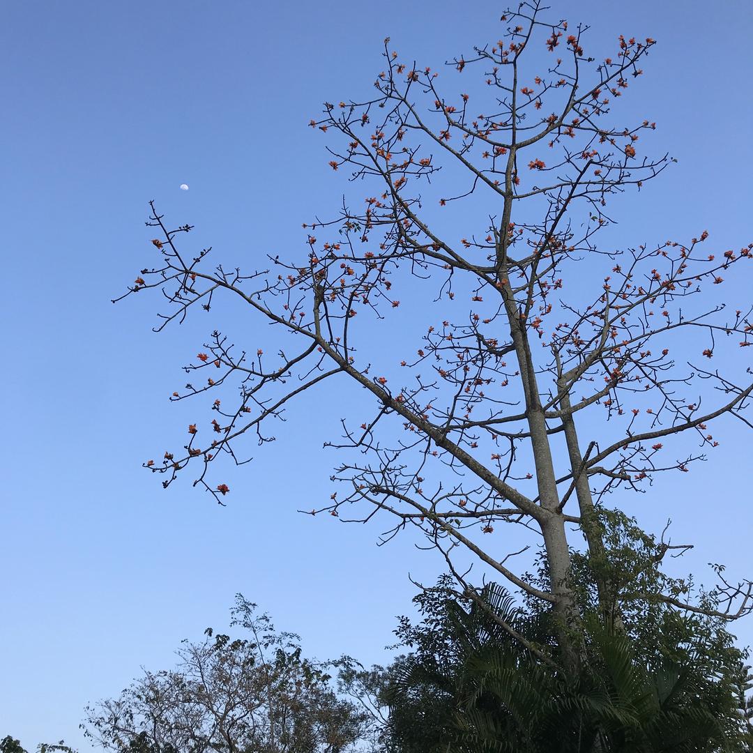 晴空