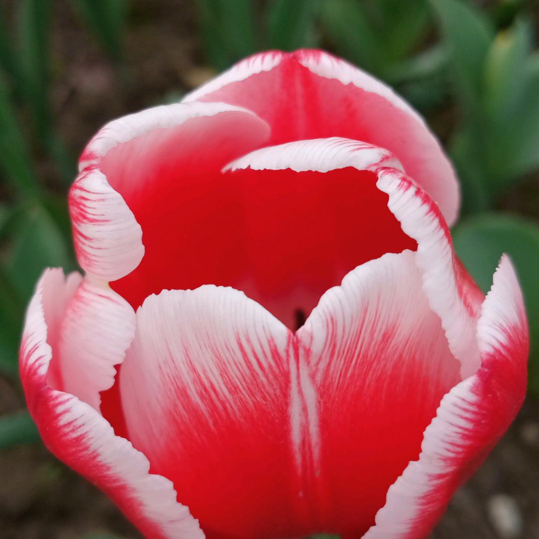 在路上的风云T9