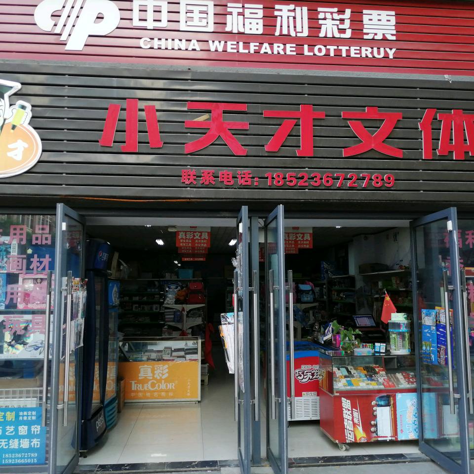 小天才文体小张