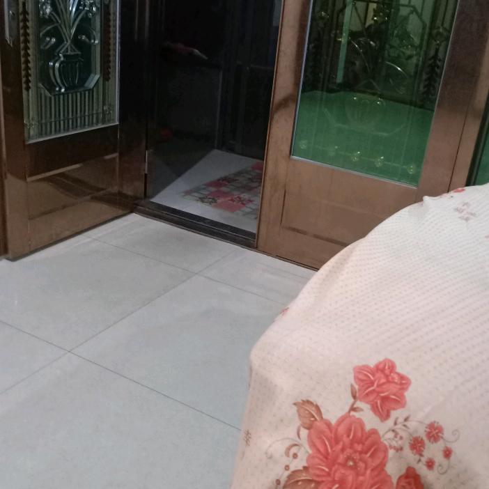 晨