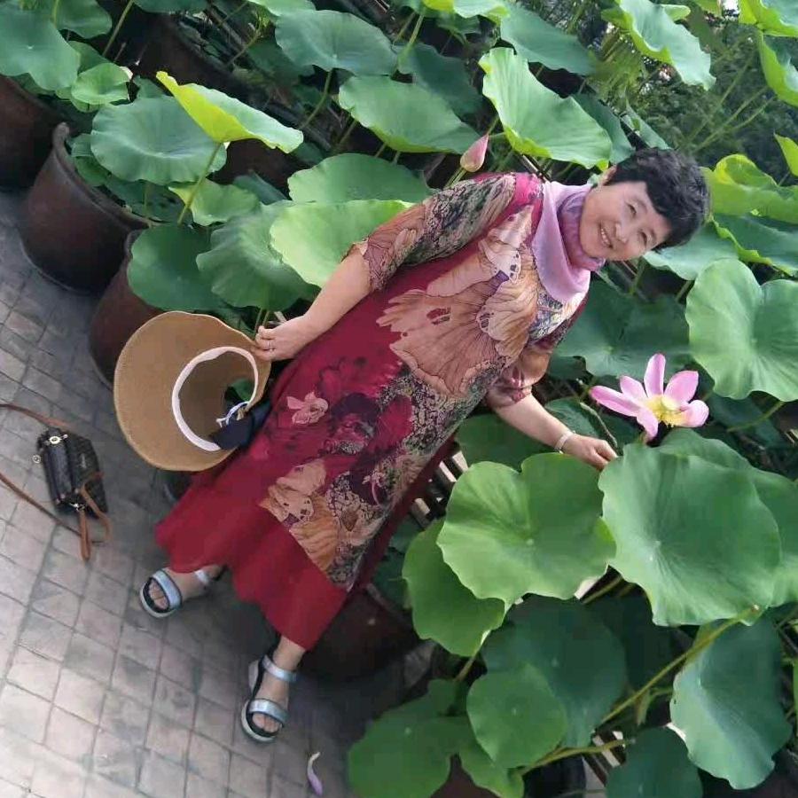 晓芹