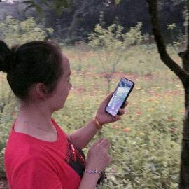 蜂蜜出售