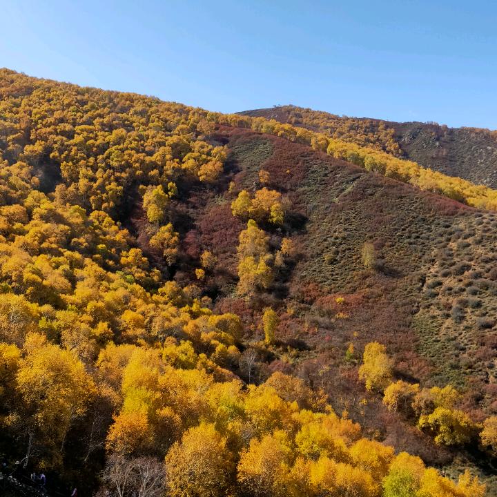 煤炭销售尚永平