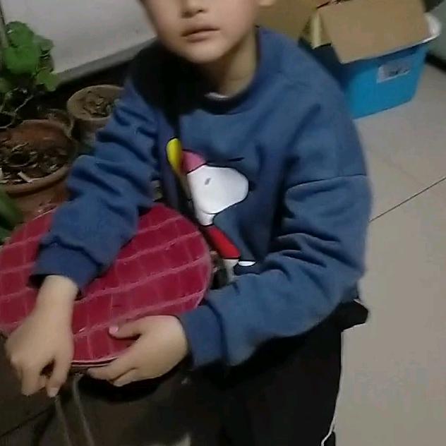 强哥l