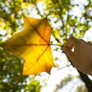 💘向来缘浅🍃何来情深