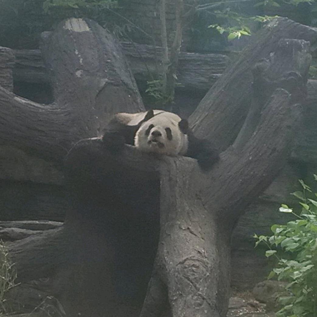 网约车--燕师傅