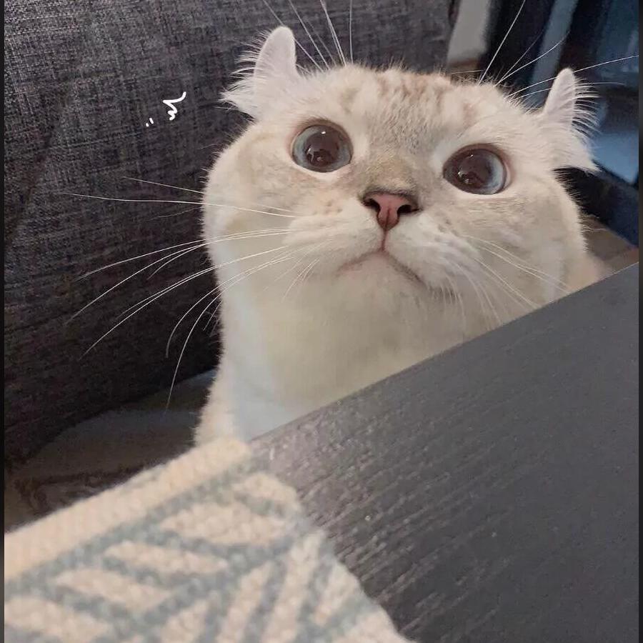 嗣音