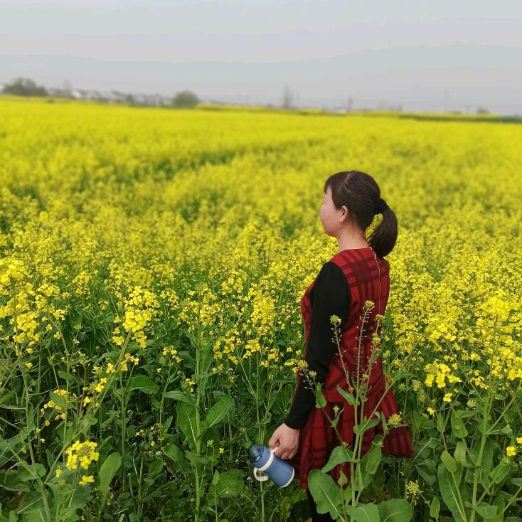 秀珍《好物在橱窗》