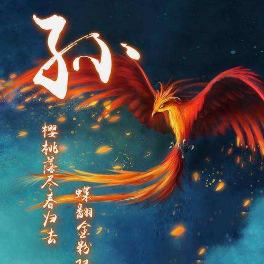 用户涅槃重生〈拒绝合拍，拒私信〉