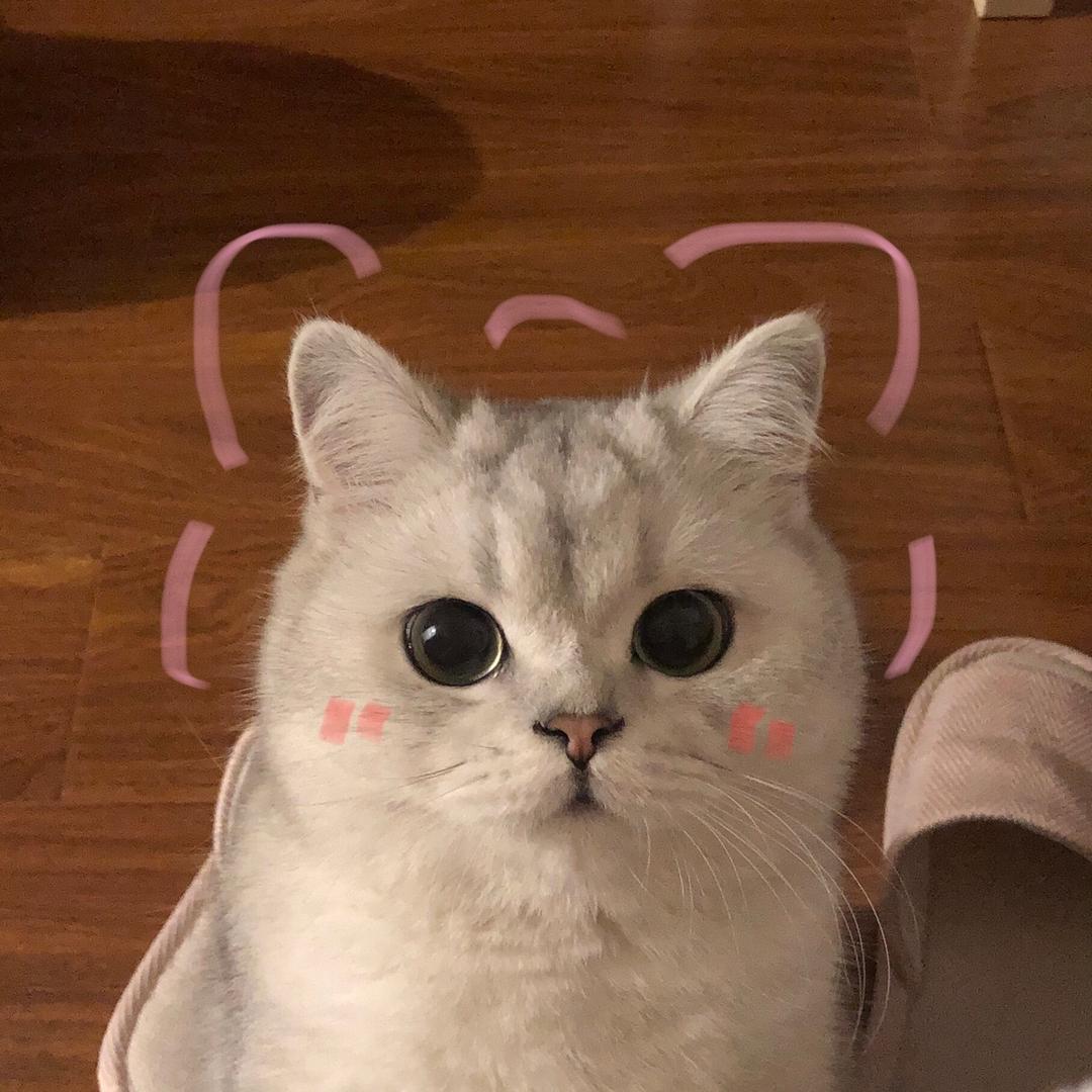 MY