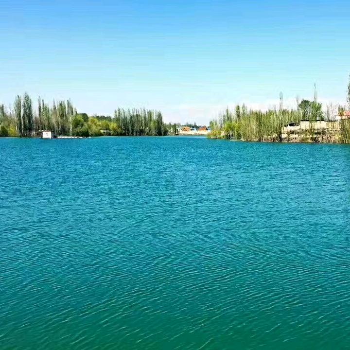 伊犁塔勒奇湖冷水鱼