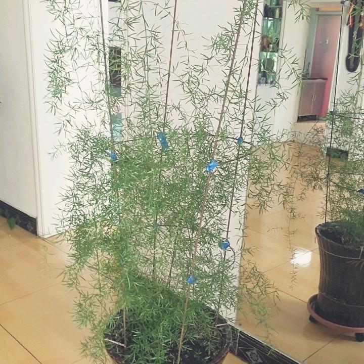 我是你的心跳