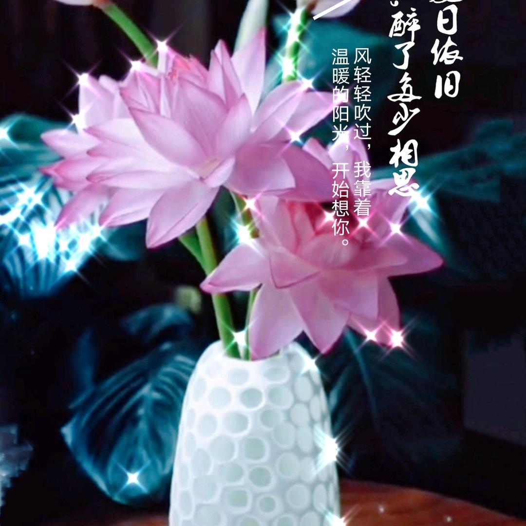 蓝莲花990