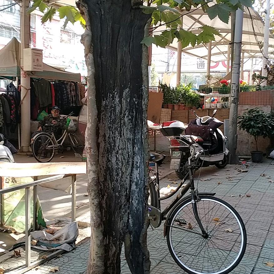 小河之水