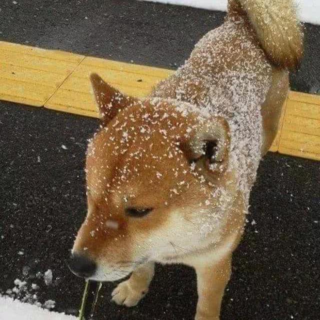 一块三毛二