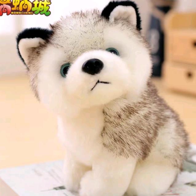小姚油漆工