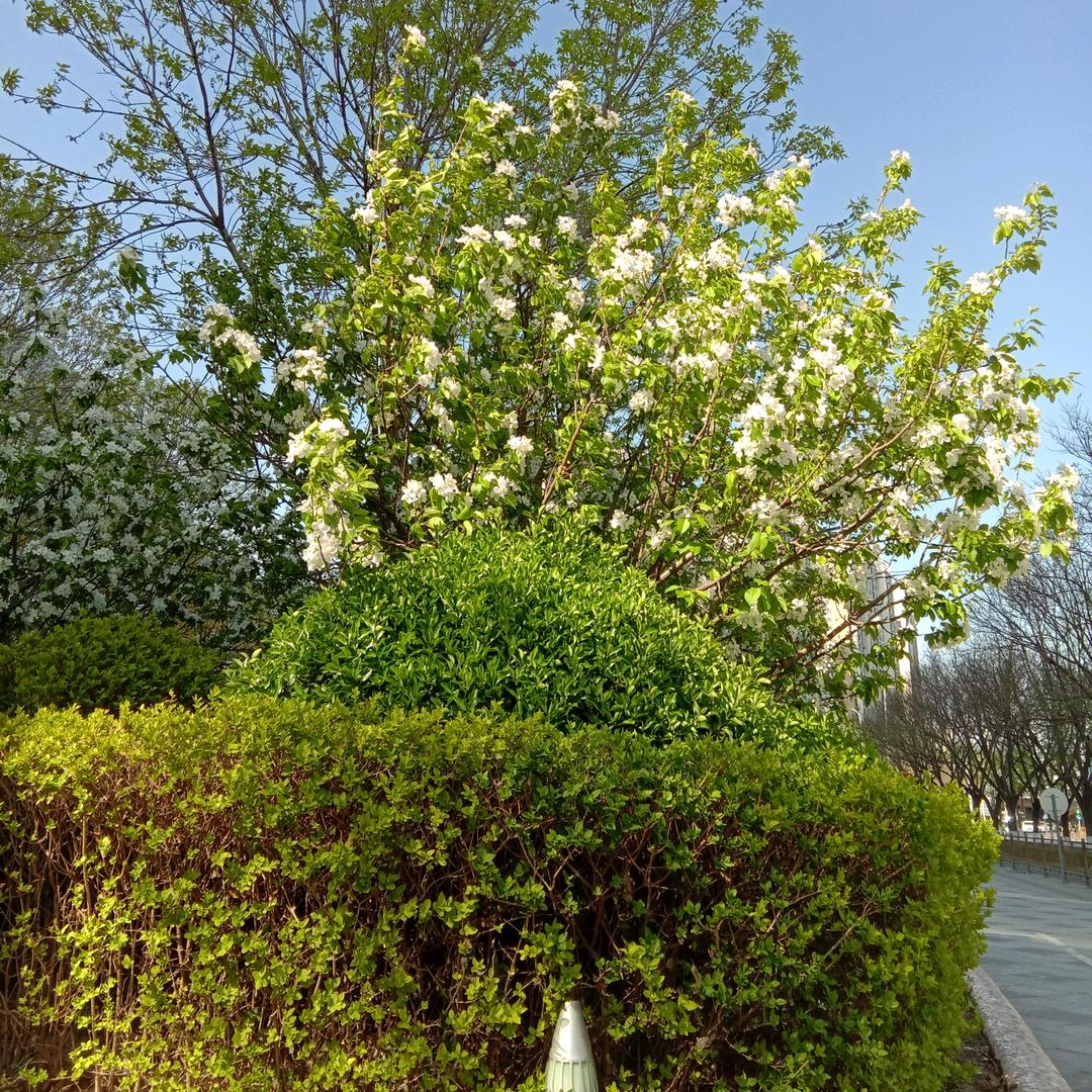帅儿妈