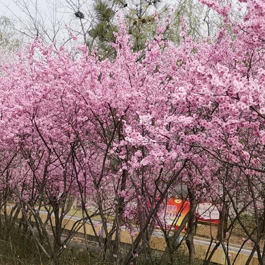 和颜悦色