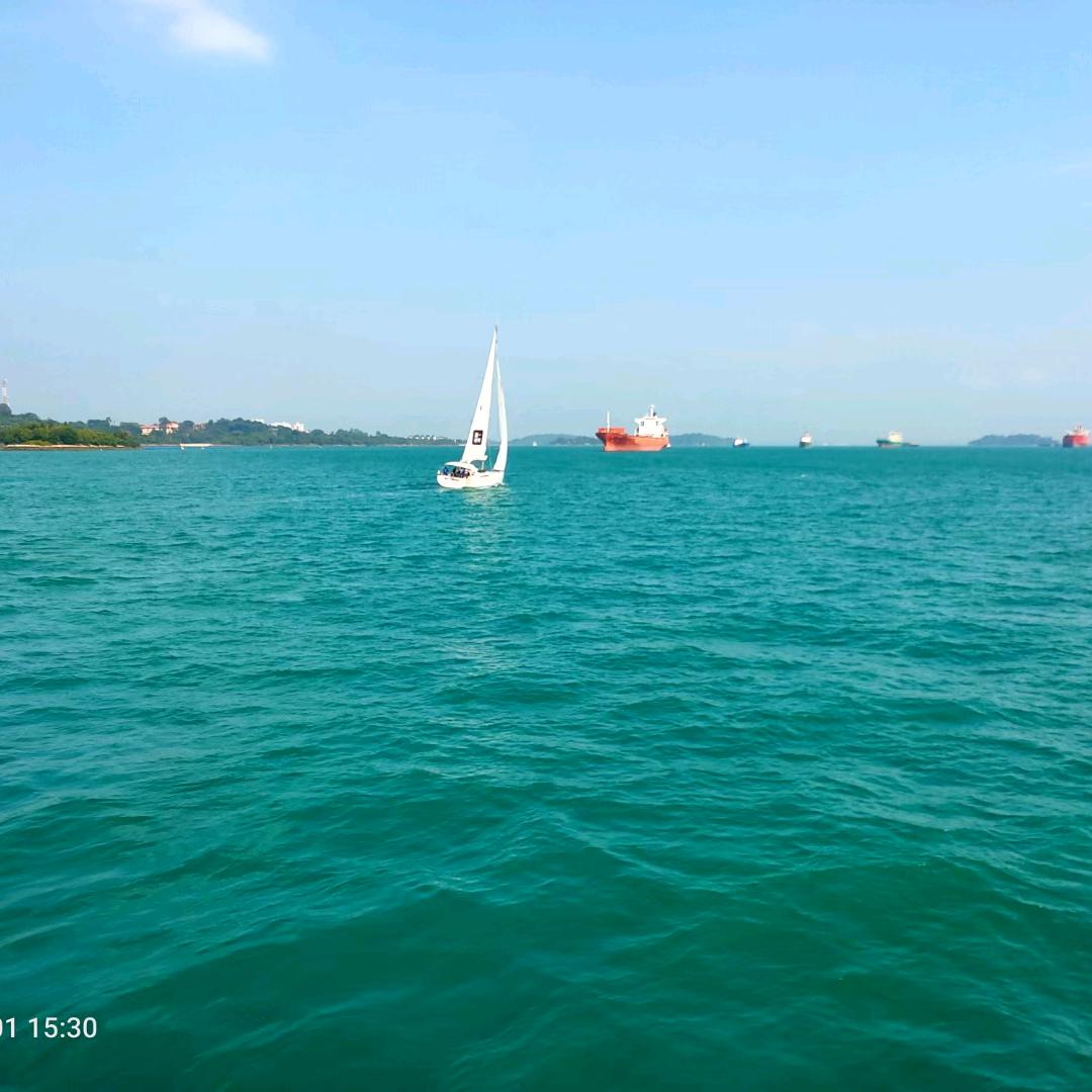 二月花开🌼🌻🌺🌸