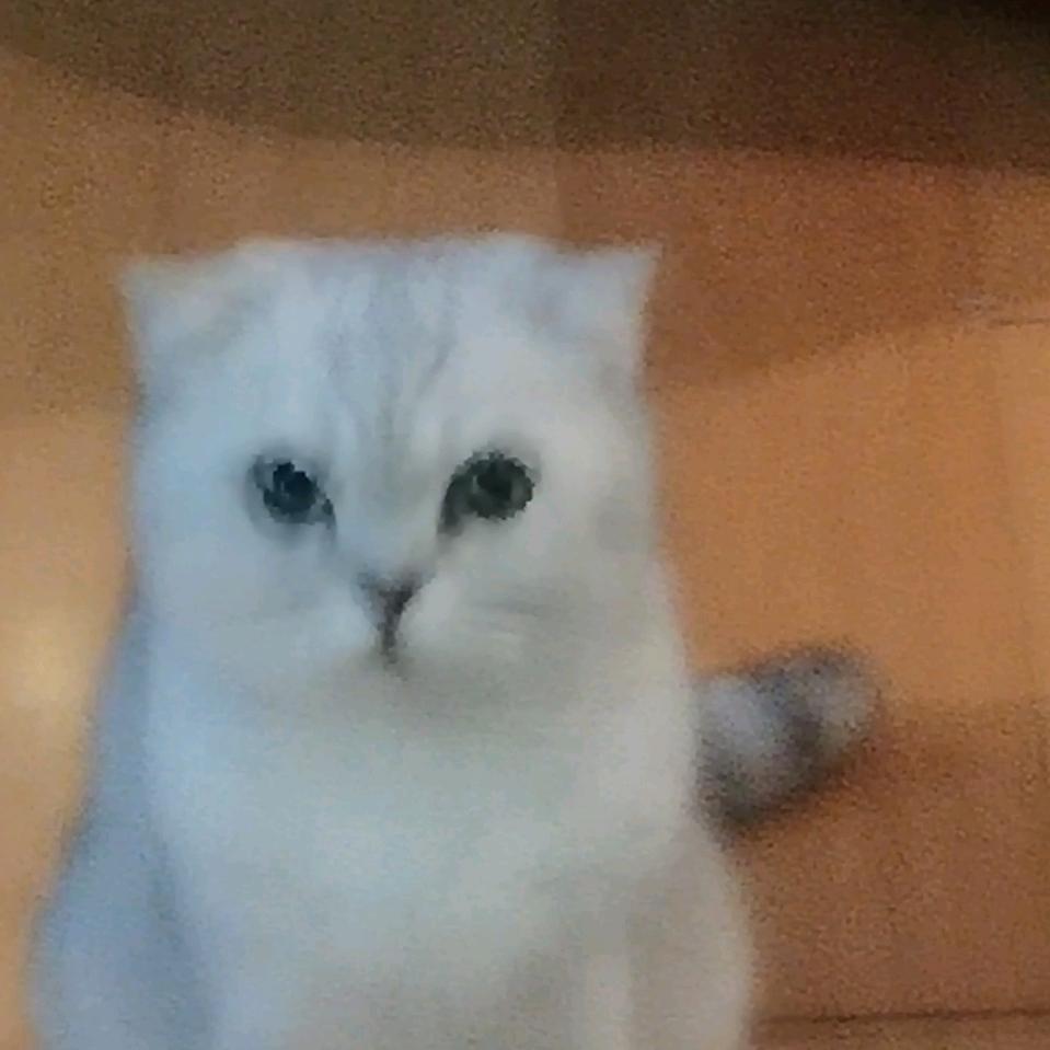 小仙