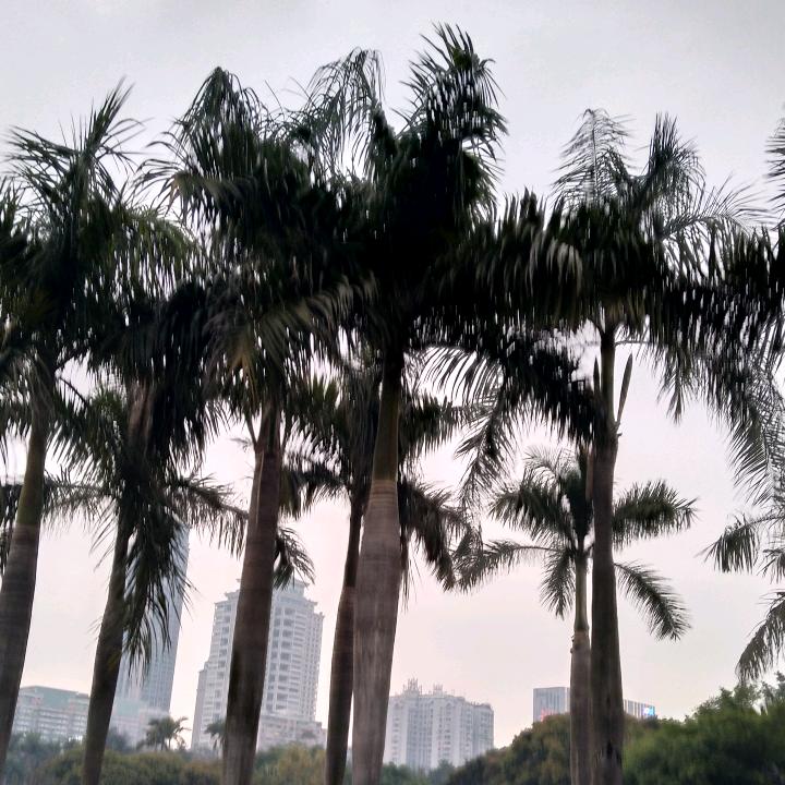 鑫利
