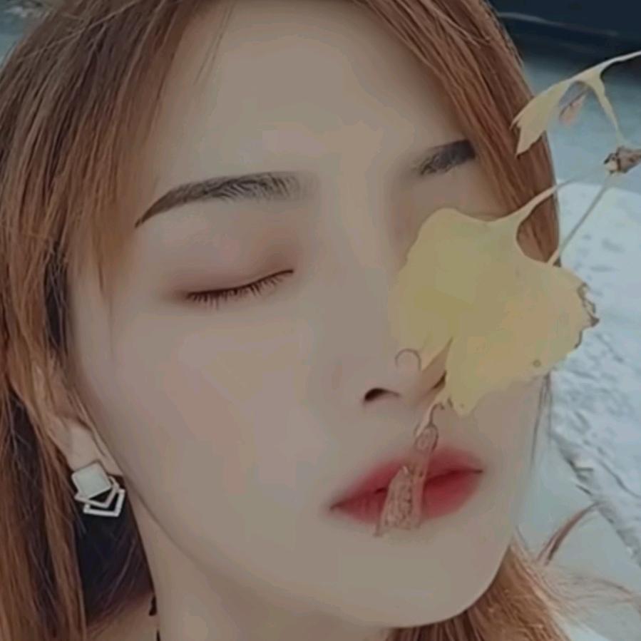 红叶🍁
