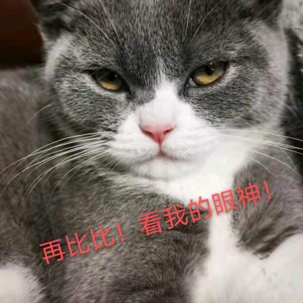 天诚无痕