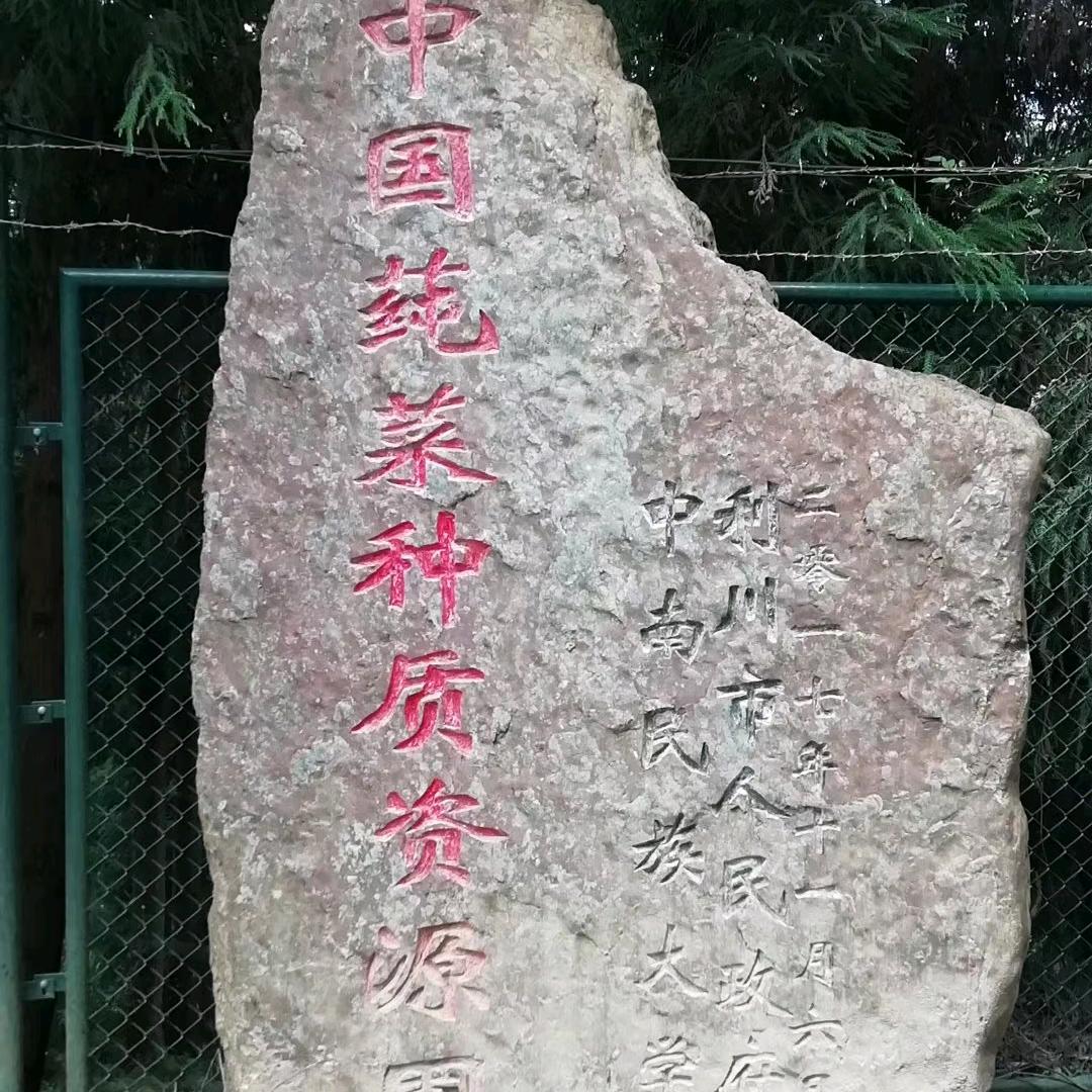 利川市晟辉生态农业有限公司