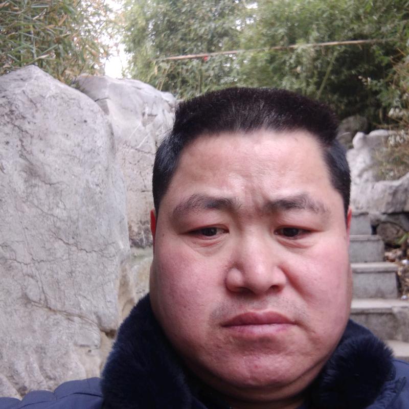 小马