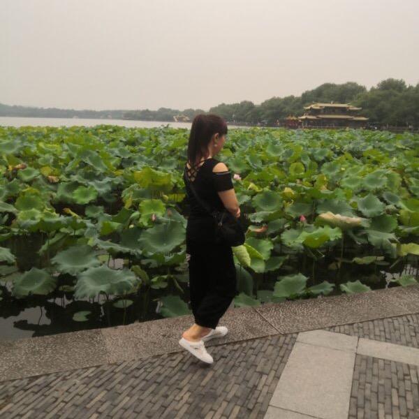 @豫见💐💐腊梅🌸🌺