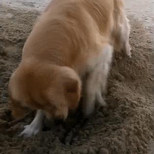 落雨紛飛
