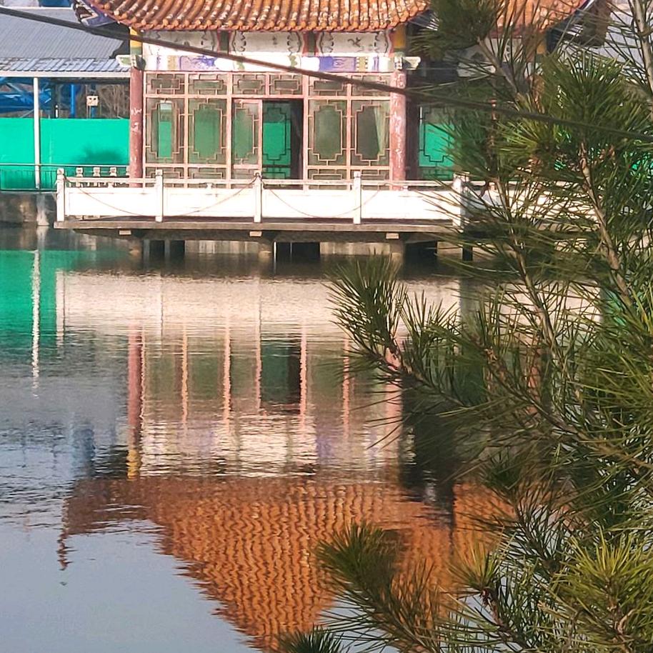 上善若水