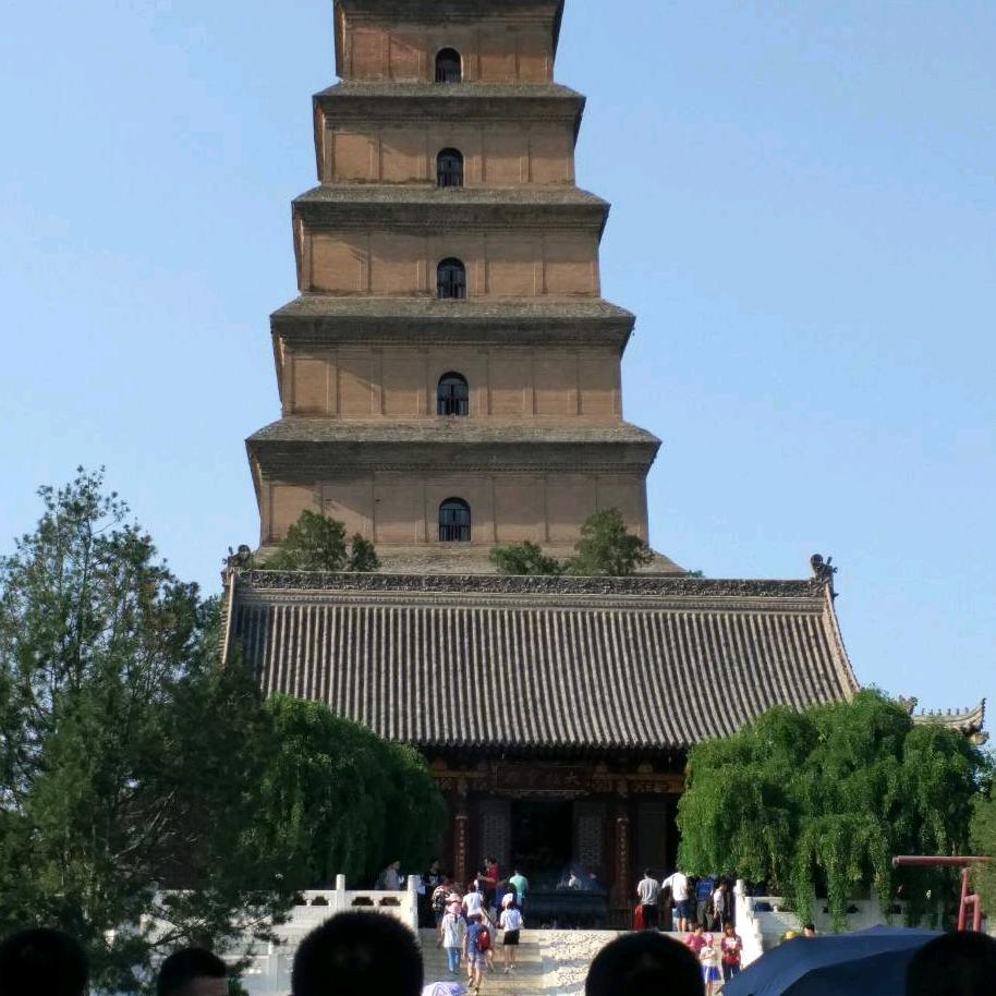 向往3
