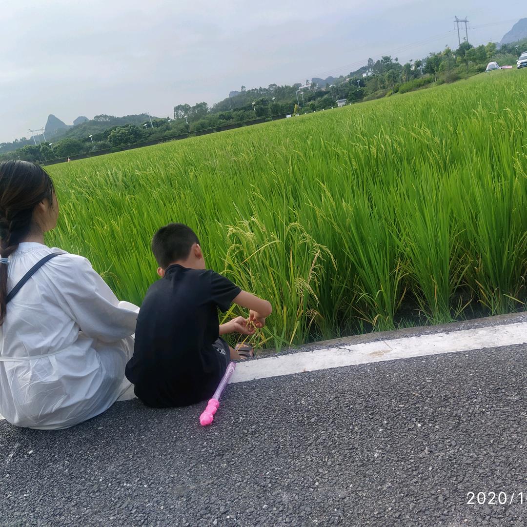 叶子云格