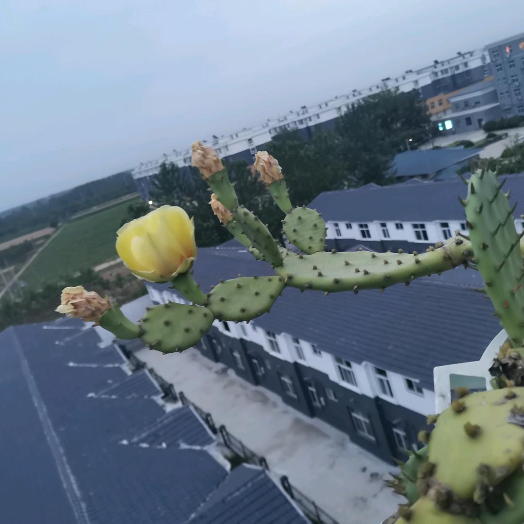 凡事宽容一切安好