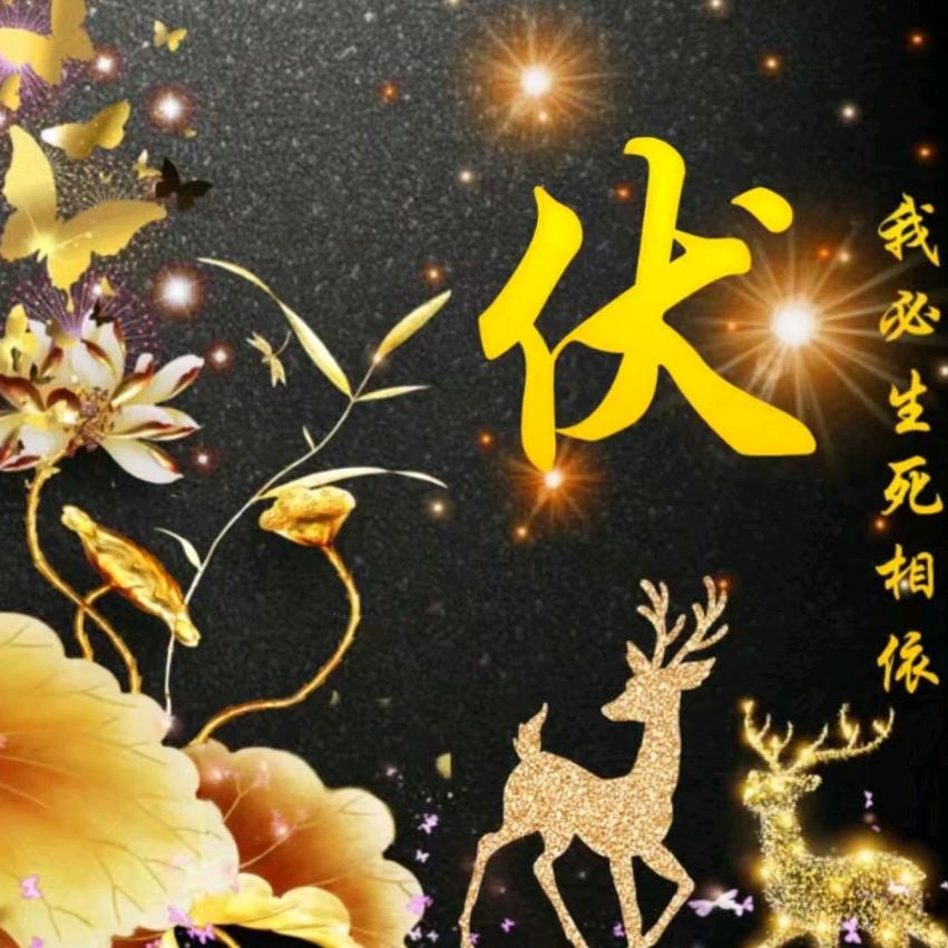 临沂刚哥《正能量》