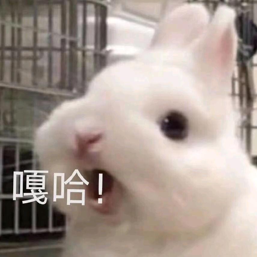 爱唱歌的冰淇淋